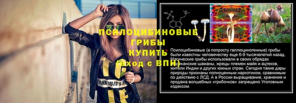 mdpv Баксан