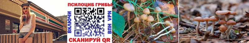 Галлюциногенные грибы Psilocybe  наркота  Белоусово 